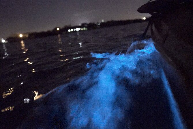 Bioluminescence Kayak Tour - Guides, safety, and the value of a small group