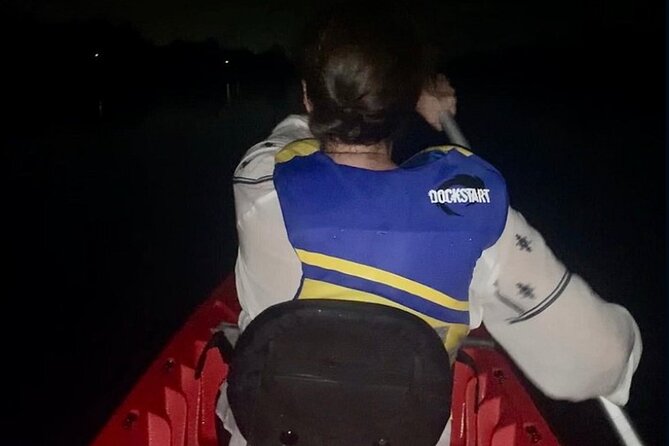 Bioluminescence Kayak Tour - Light pollution, moonlight, and the luck factor
