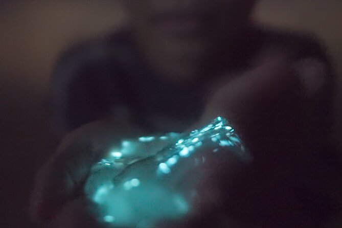 Bioluminescence Kayak Tour - What to wear and what to bring