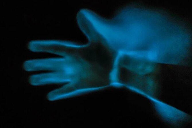Bioluminescence Kayak Tour - Is the tour good for families and beginners?