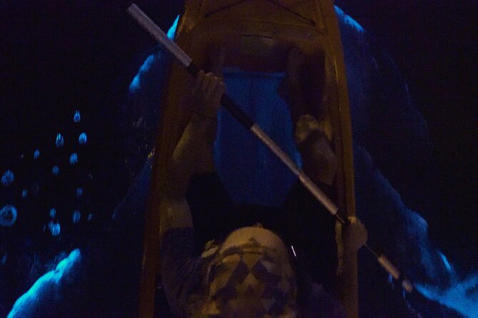 Bioluminescence Kayak Tour - The two-hour outing, from shore to open lagoon
