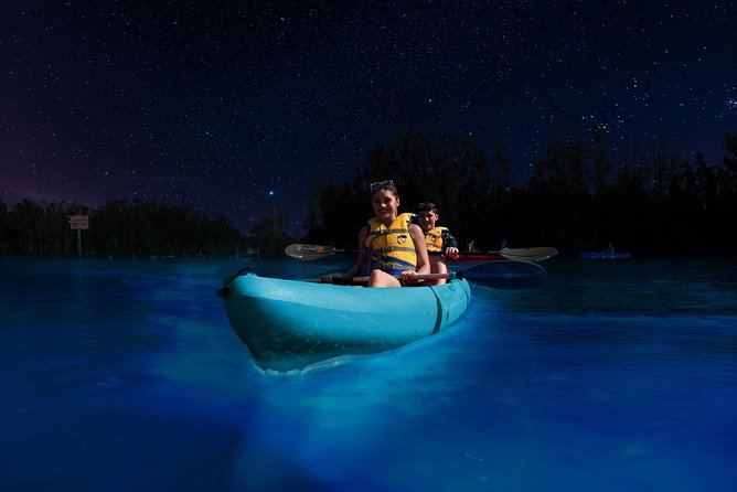 Bioluminescence Night Kayaking Tour of Merritt Island Wildlife Refuge - Wildlife beyond the glow