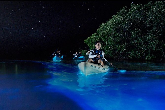 Bioluminescence Night Kayaking Tour of Merritt Island Wildlife Refuge - A gentle start for beginners
