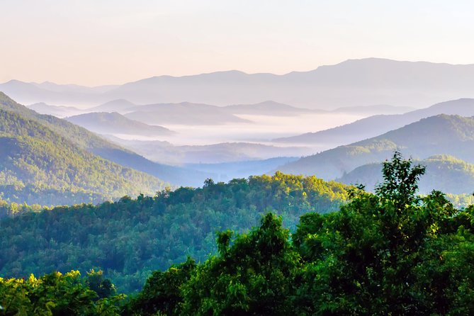 Blue Ridge Parkway Waterfalls Hiking Tour from Asheville - What makes Tony’s guiding useful