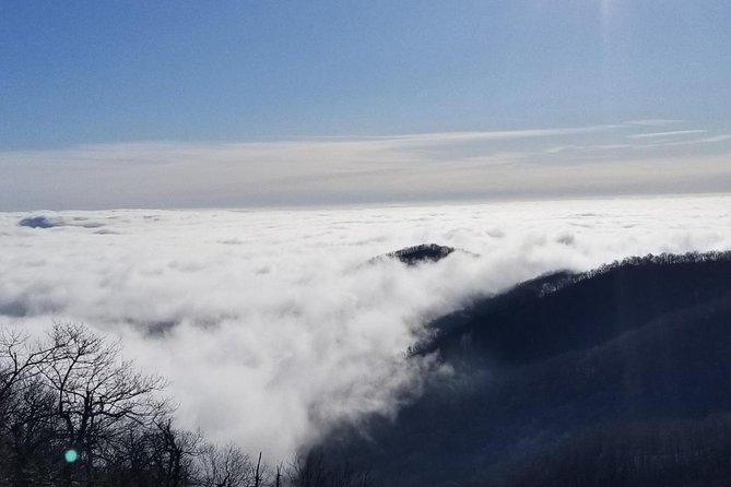 Blue Ridge Parkway Waterfalls Hiking Tour from Asheville - Practical details before you reserve