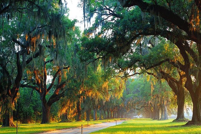 Boone Hall Plantation All-Access Admission Ticket - Why Boone Hall is more than an oak-lined photo stop