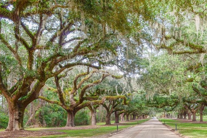 Boone Hall Plantation All-Access Admission Ticket - What to expect inside the 1934 house