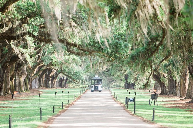 Boone Hall Plantation All-Access Admission Ticket - Start with the Avenue of Oaks