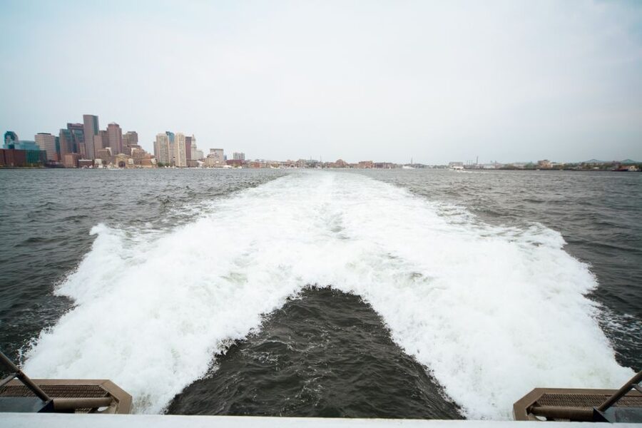Boston: City Cruises Whale Watching Cruise - Castle Island and the Boston Harbor Islands