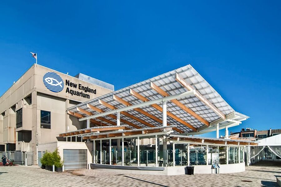 Boston: New England Aquarium Entry + Optional Simons Theatre - Key Points Before You Go