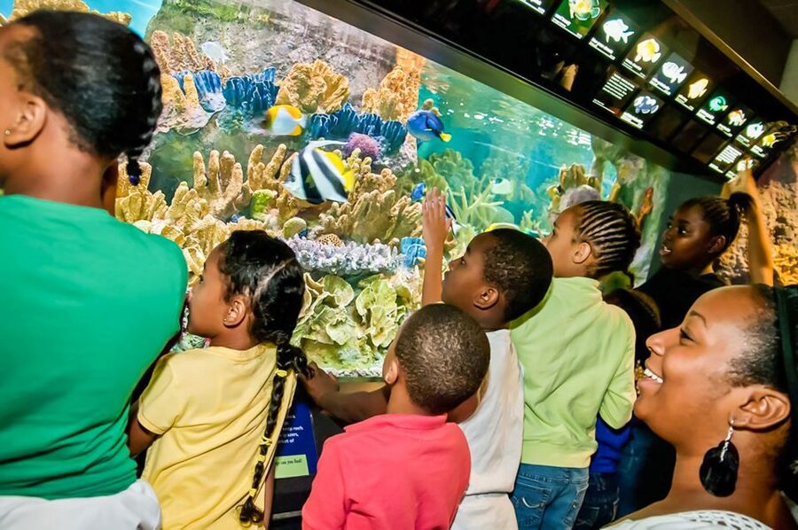 Boston: New England Aquarium Entry + Optional Simons Theatre - Who Should Book This Aquarium Visit?