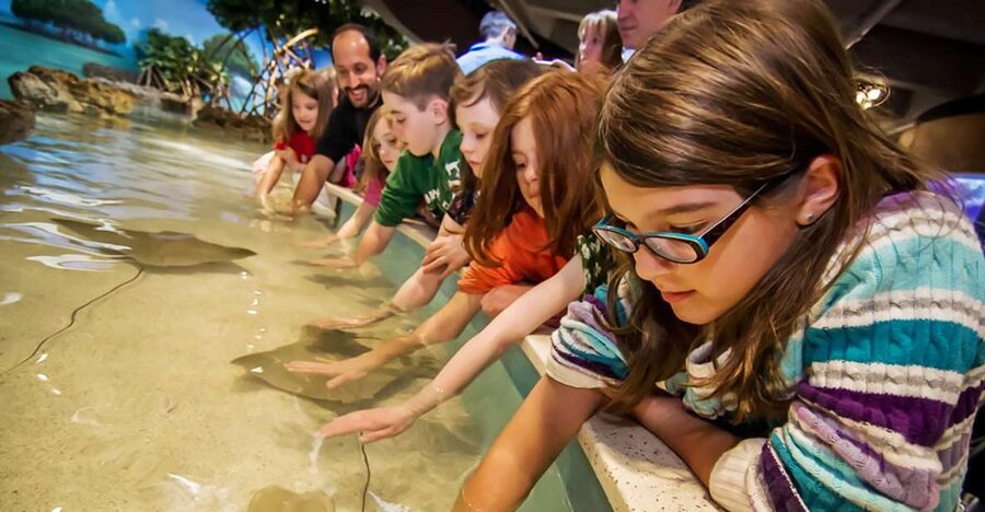Boston: New England Aquarium Entry + Optional Simons Theatre - Accessibility and Family Practicalities