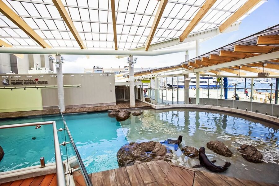 Boston: New England Aquarium Entry + Optional Simons Theatre - Penguins, Seals, and Sea Lions