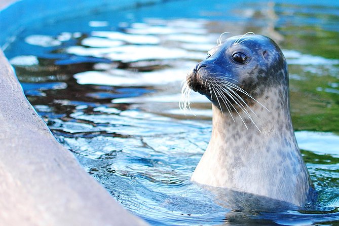 Boston Pass: 40+ Things To Do - Includes Franklin Park Zoo - Start with the Museum of Science