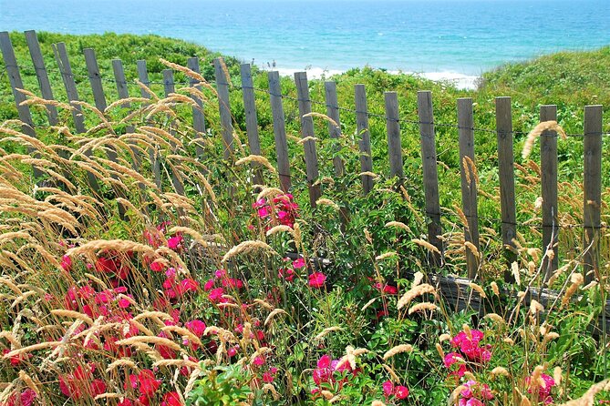 Boston to Martha's Vineyard Day Trip with Optional Island Tour - The seasonal difference is huge