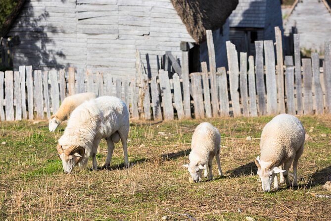 Boston to Plymouth Day-Trip including Quincy, Plimoth Patuxet and Mayflower II - Is $165 a fair price for this day?