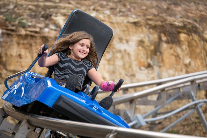 Branson Alpine Mountain Coaster Ticket - Choosing between a single and double cart