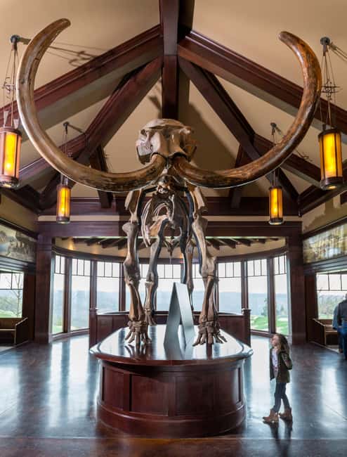 Branson: Top of the Rock Ozarks Heritage Preserve - Eagle’s Nest gives you the big Ozark view