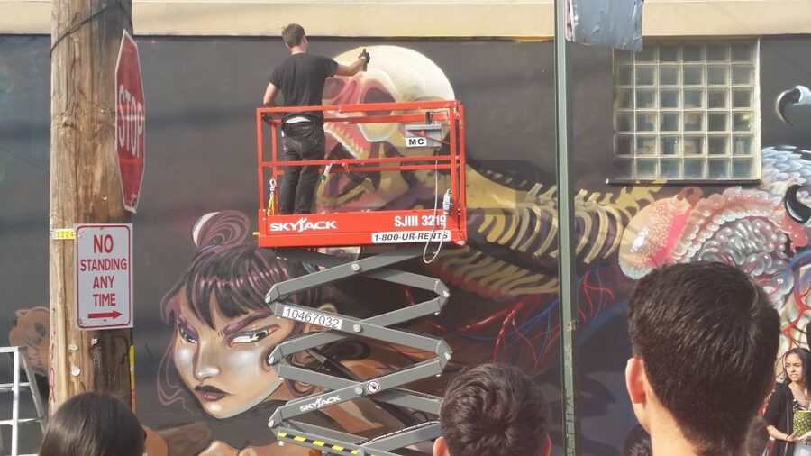 Brooklyn: Bushwick Street Art Walking Tour - Who should book this walk?