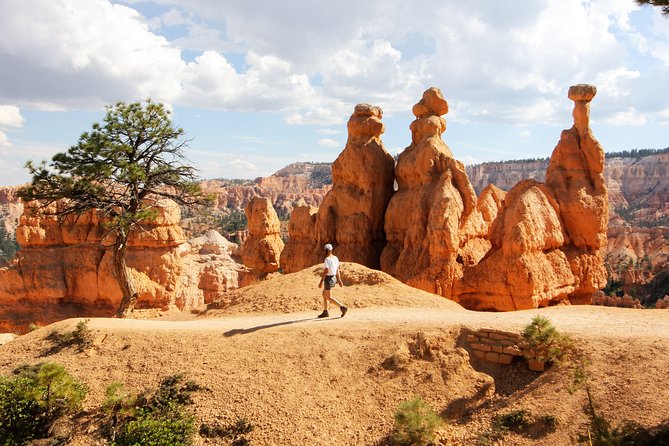 Bryce Canyon & Zion National Park from Las Vegas with Lunch, WiFi - Lunch, breaks, and the long return