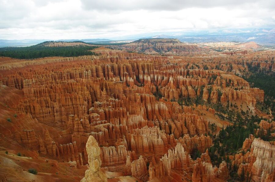 Bryce: Guided Sightseeing Tour of Bryce Canyon National Park - Who should book this Bryce tour?