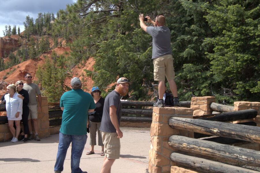Bryce: Guided Sightseeing Tour of Bryce Canyon National Park - Inspiration Point and the hunt for hoodoos