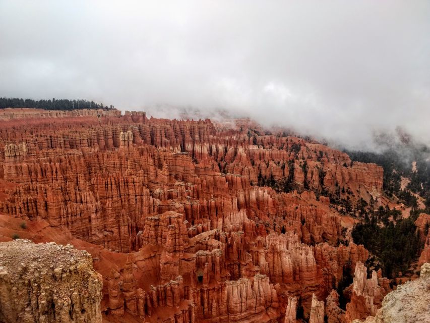Bryce: Guided Sightseeing Tour of Bryce Canyon National Park - Price, park fees, and meeting point