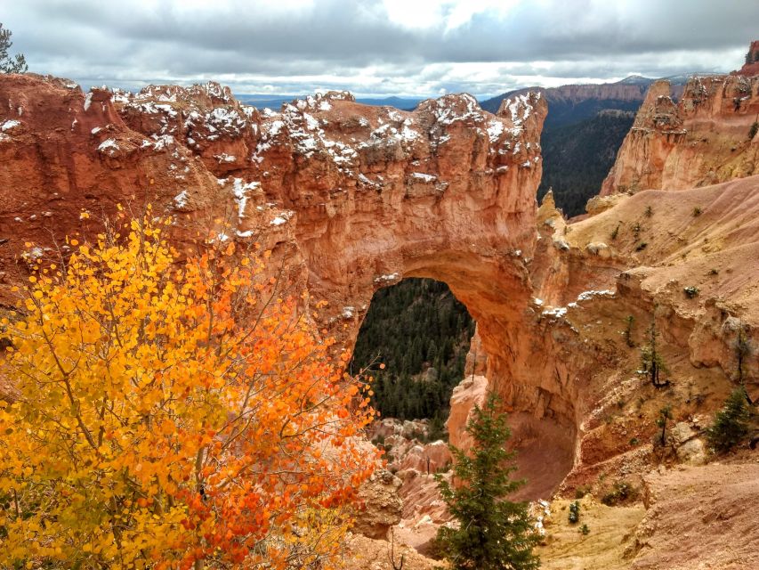 Bryce: Guided Sightseeing Tour of Bryce Canyon National Park - Fairyland Canyon and the bristlecone pine