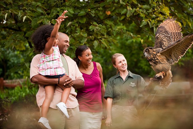 Busch Gardens Williamsburg Admission Ticket - Shops and village details between rides