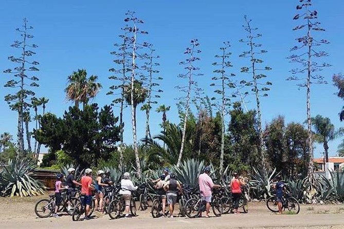 Cali Dreaming Electric Bike Tour of La Jolla and Pacific Beach - The Children’s Pool and the seal-watching question