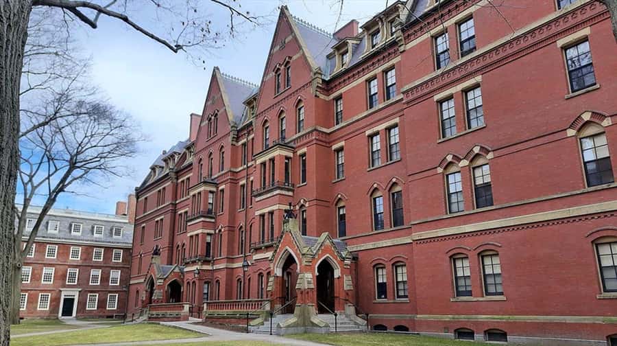 Cambridge, Massachusetts: MIT and Harvard Walking Tour - Key points to know before booking