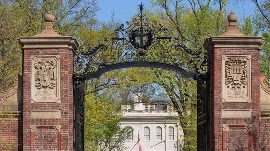 Cambridge, Massachusetts: MIT and Harvard Walking Tour - Two universities, two very different personalities