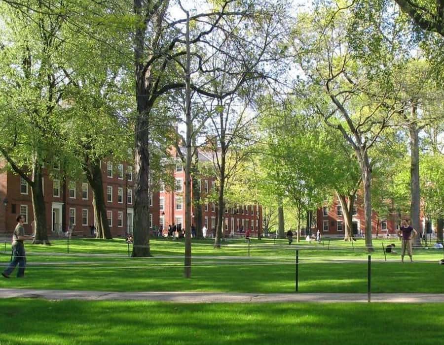 Cambridge, Massachusetts: MIT and Harvard Walking Tour - The subway from MIT to Harvard