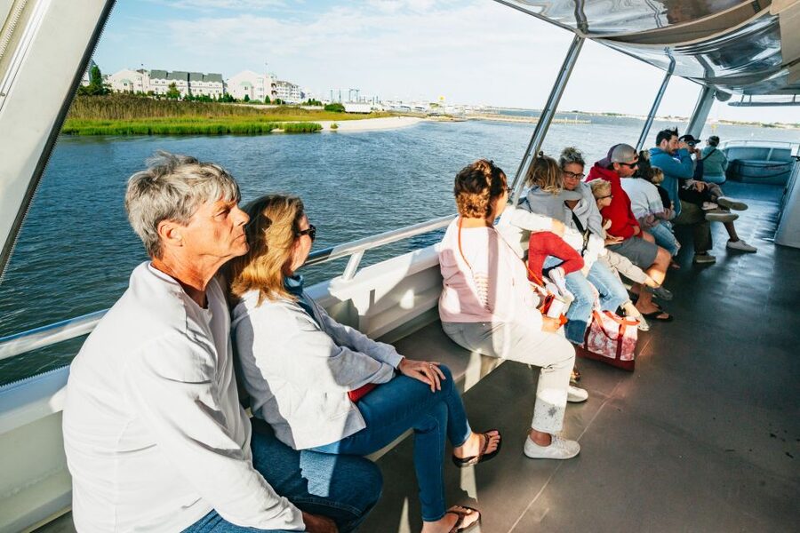 Cape May: Cape May Island Sunset Cruise & Dolphin Watching - Practical tips for a smoother evening
