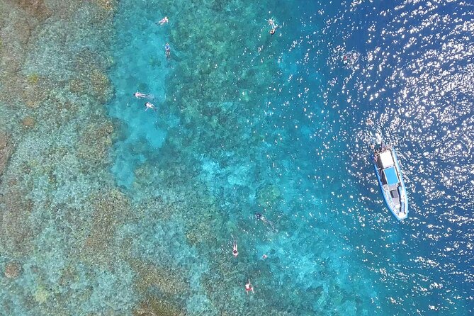 Captain Cook Snorkel Tour with Sea Caves and Lava Tubes - Is the $89 price good value?