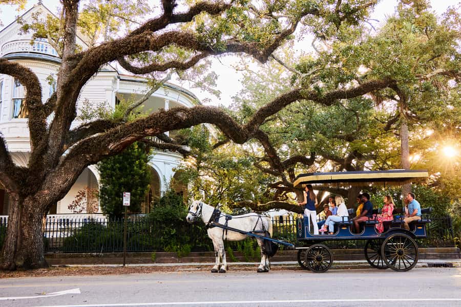 Charleston: Downtown Horse-Drawn Carriage Tour - Key points to know before you book