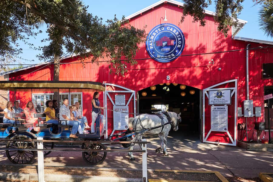 Charleston: Downtown Horse-Drawn Carriage Tour - Why the slow carriage pace works