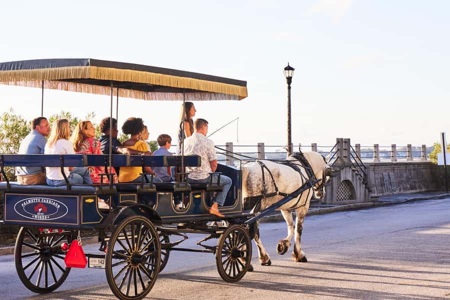 Charleston: Downtown Horse-Drawn Carriage Tour - What seating and weather are really like