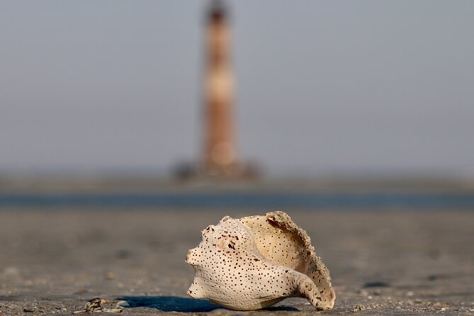 Charleston Eco Boat Cruise with stop at Morris Island Lighthouse - Comfort, timing, and what to pack