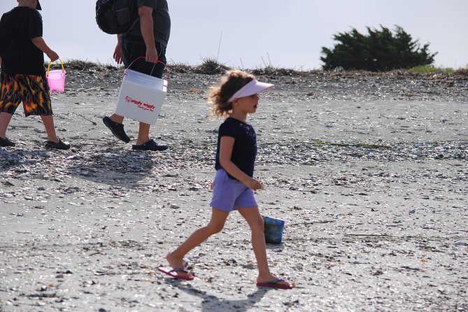 Charleston Eco Boat Cruise with stop at Morris Island Lighthouse - Who should book this Morris Island outing?