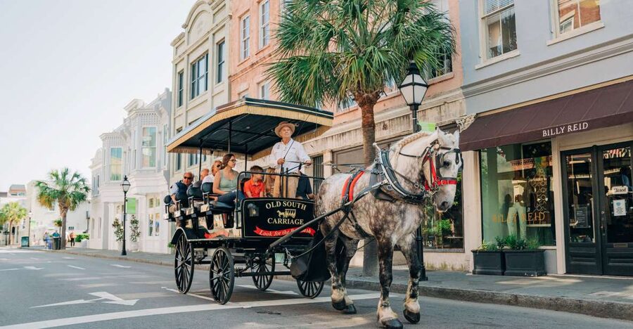 Charleston: Historical Downtown Tour by Horse-drawn Carriage - Rainbow Row, King Street, and the pleasure of looking up