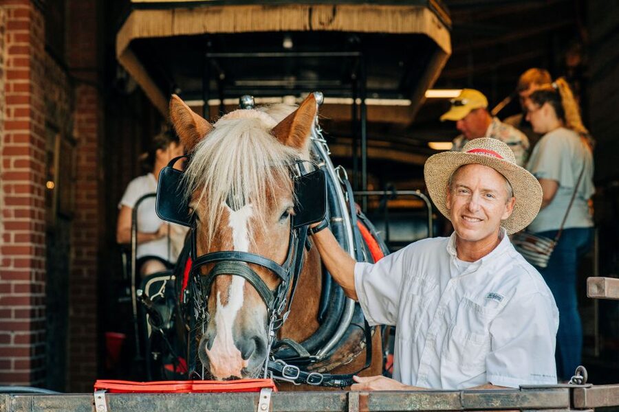 Charleston: Historical Downtown Tour by Horse-drawn Carriage - The horses are part of the experience