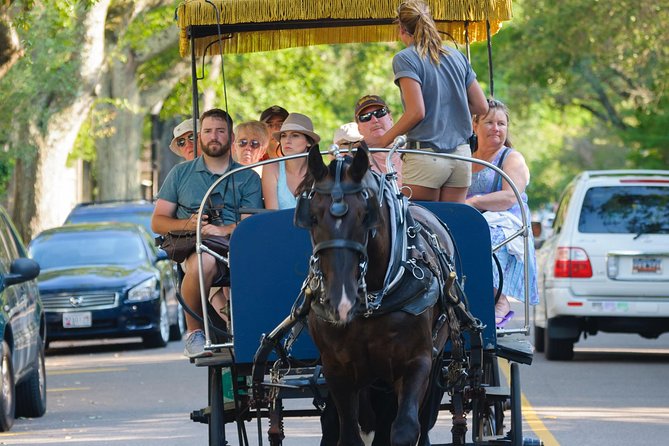 Charleston Horse & Carriage Historic Sightseeing Tour - Why a carriage ride works well in Charleston