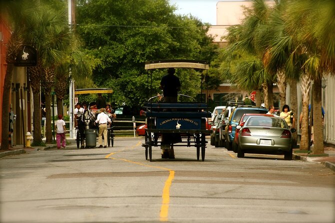 Charleston Horse & Carriage Historic Sightseeing Tour - Rainbow Row and the city’s famous façades