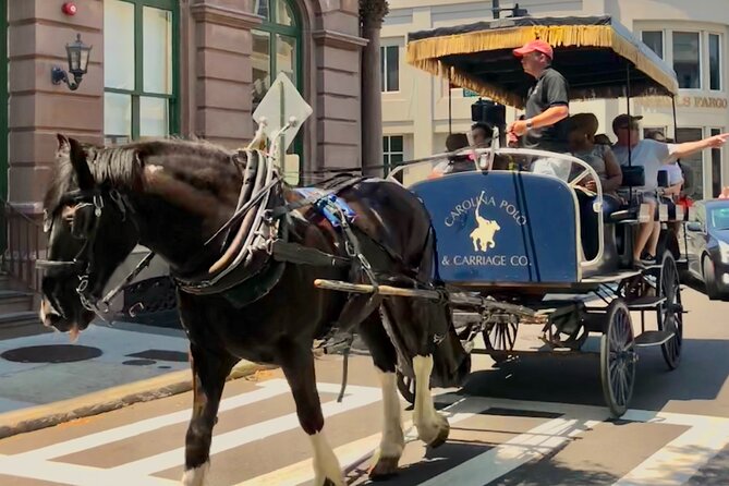Charleston Horse & Carriage Historic Sightseeing Tour - Nathaniel Russell House and Charleston architecture