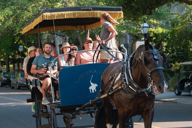 Charleston Horse & Carriage Historic Sightseeing Tour - St. Philip’s Church and the Holy City