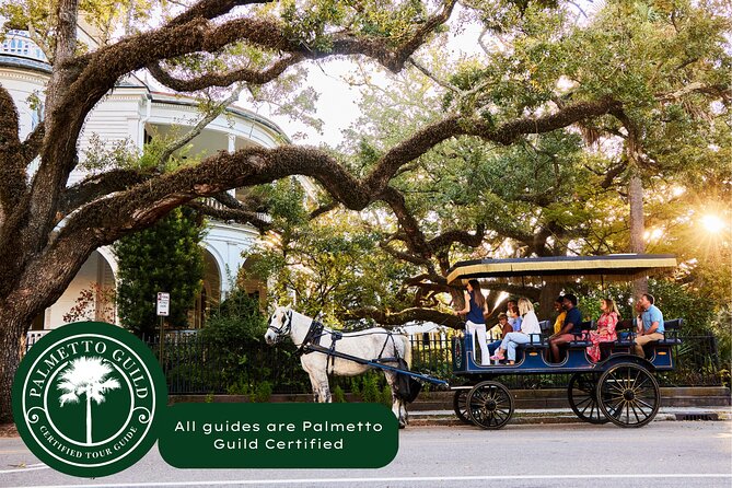 Charleston Horse-Drawn Carriage Tour: Explore Historic Charleston - Why a carriage is a smart first look at Charleston