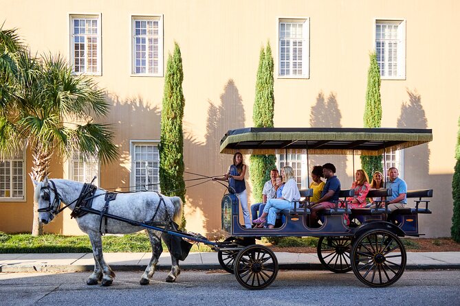 Charleston Horse-Drawn Carriage Tour: Explore Historic Charleston - Who should book this Charleston ride