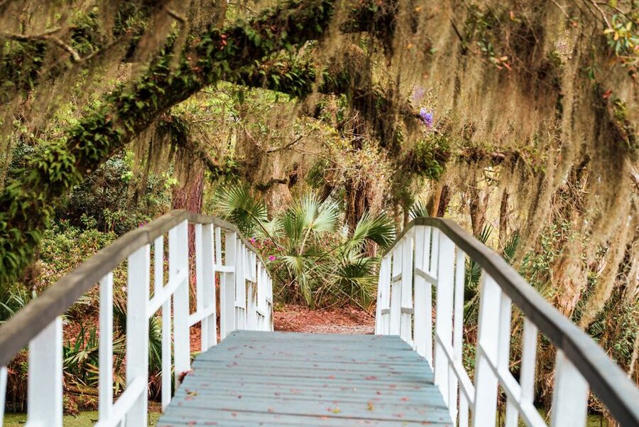 Charleston: Magnolia Plantation Entry & Tour with Transport - The 45-minute house tour and the Drayton story