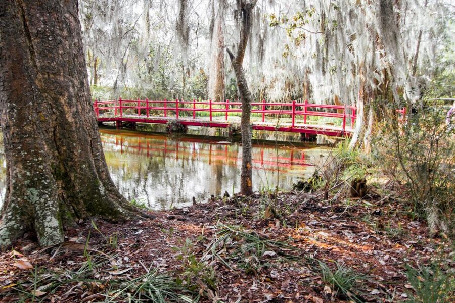 Charleston: Magnolia Plantation Entry & Tour with Transport - The tram through Audubon Swamp Gardens